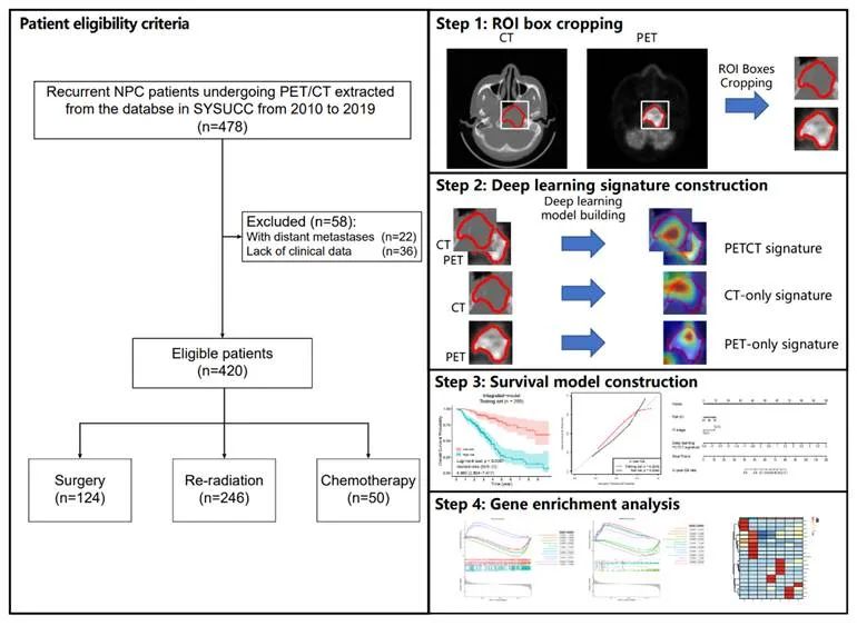 中科院分子影像重点实验室研发影像组学新技术：利用深度学习实现基于PET/CT影像的复发鼻咽癌预后预测